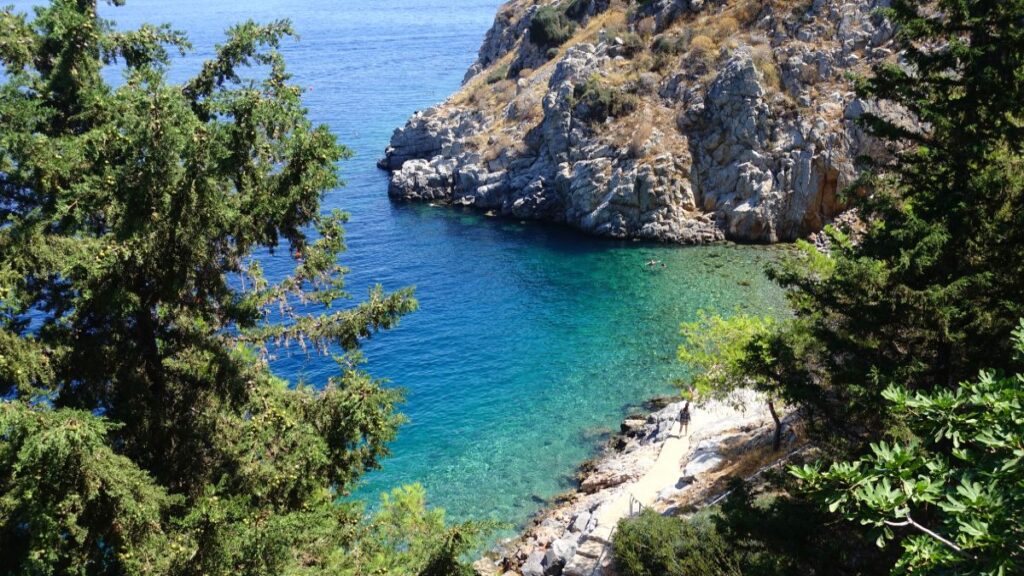 avlaki hydra